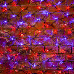 Гирлянда светодиодная Сеть 2х0,7м 176 LED КРАСНЫЙ/СИНИЙ черный ПВХ IP65 свечение с динамикой 230В контроллер в комплекте NEON-NIGHT 
