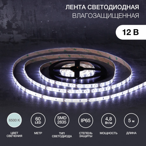 Лента светодиодная 12В, SMD2835, 4,8Вт/м, 60 LED/м, 6500К, 8мм, 5м, для БП с клеммами, IP65 LAMPER