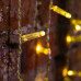 Гирлянда Светодиодный Дождь 2х1,5м, постоянное свечение, прозрачный провод, 230 В, цвет: Золото (шнур питания в комплекте)