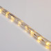 Дюралайт LED двухжильный 230В 13мм 24LED/м ТЕПЛЫЙ БЕЛЫЙ эффект мерцания модуль 2м Эконом