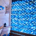 Гирлянда светодиодная Сеть 2х1,5м 288 LED БЕЛЫЙ/СИНИЙ черный ПВХ IP65 свечение с динамикой 230В контроллер в комплекте NEON-NIGHT 