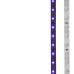 Лента светодиодная 12В, SMD2835, 4,8Вт/м, 60 LED/м, синий, 8мм, 5м, IP20 LAMPER