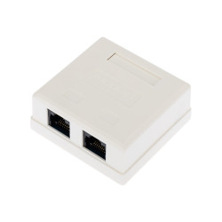 Розетка компьютерная внешняя, 2-порта RJ-45 (8P8C), UTP CAT 6 REXANT